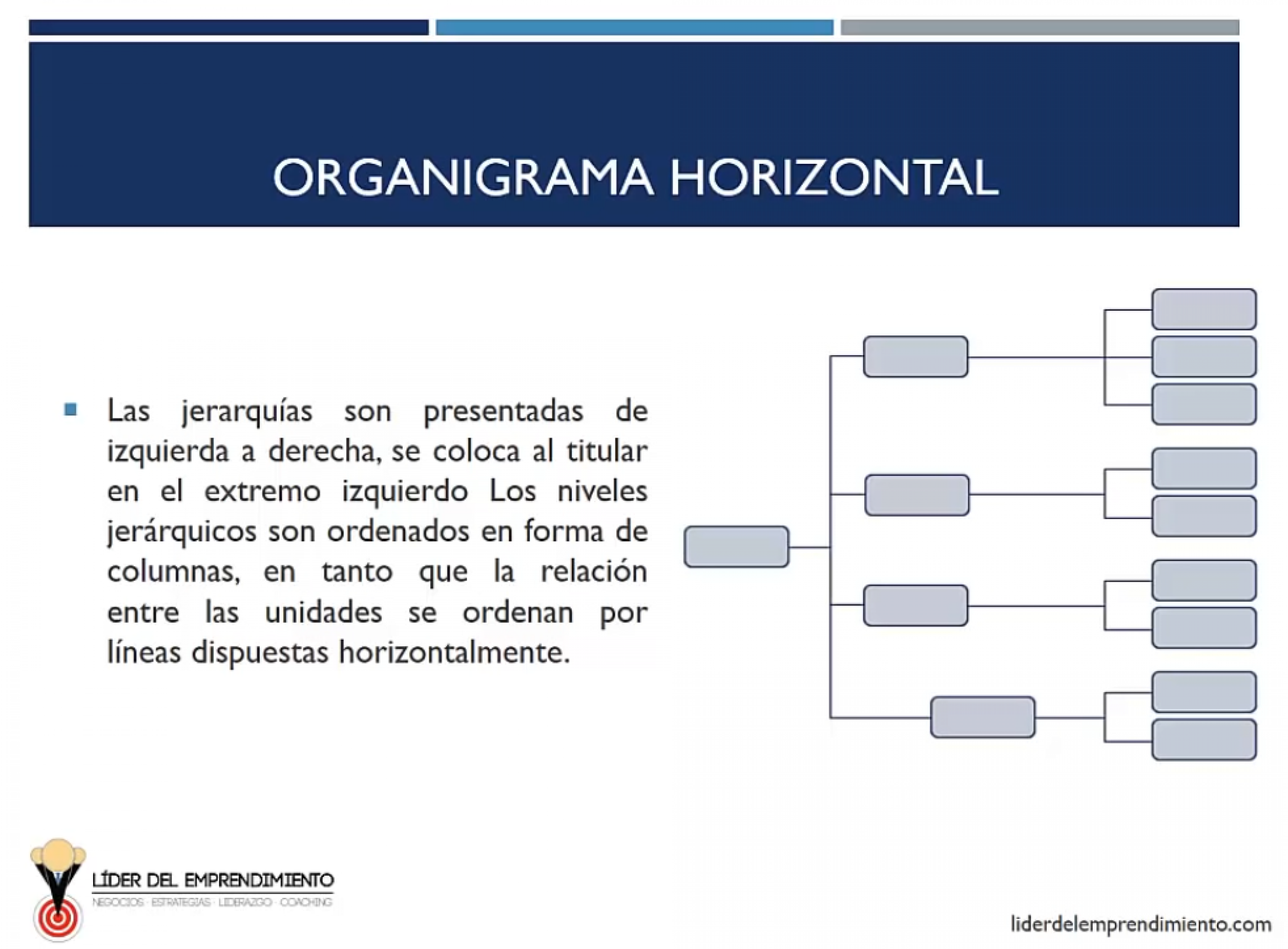 Organigrama horizontal