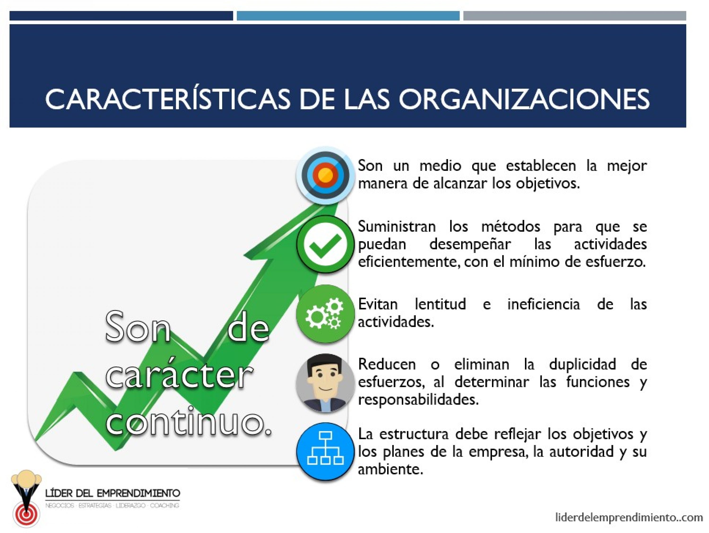 Características de las organizaciones