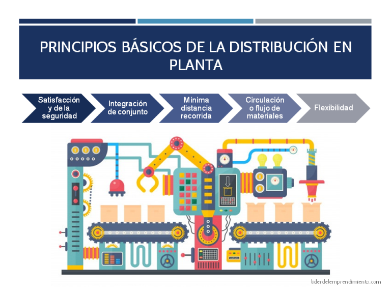 ¿Qué es la distribución de planta? | Líder del Emprendimiento