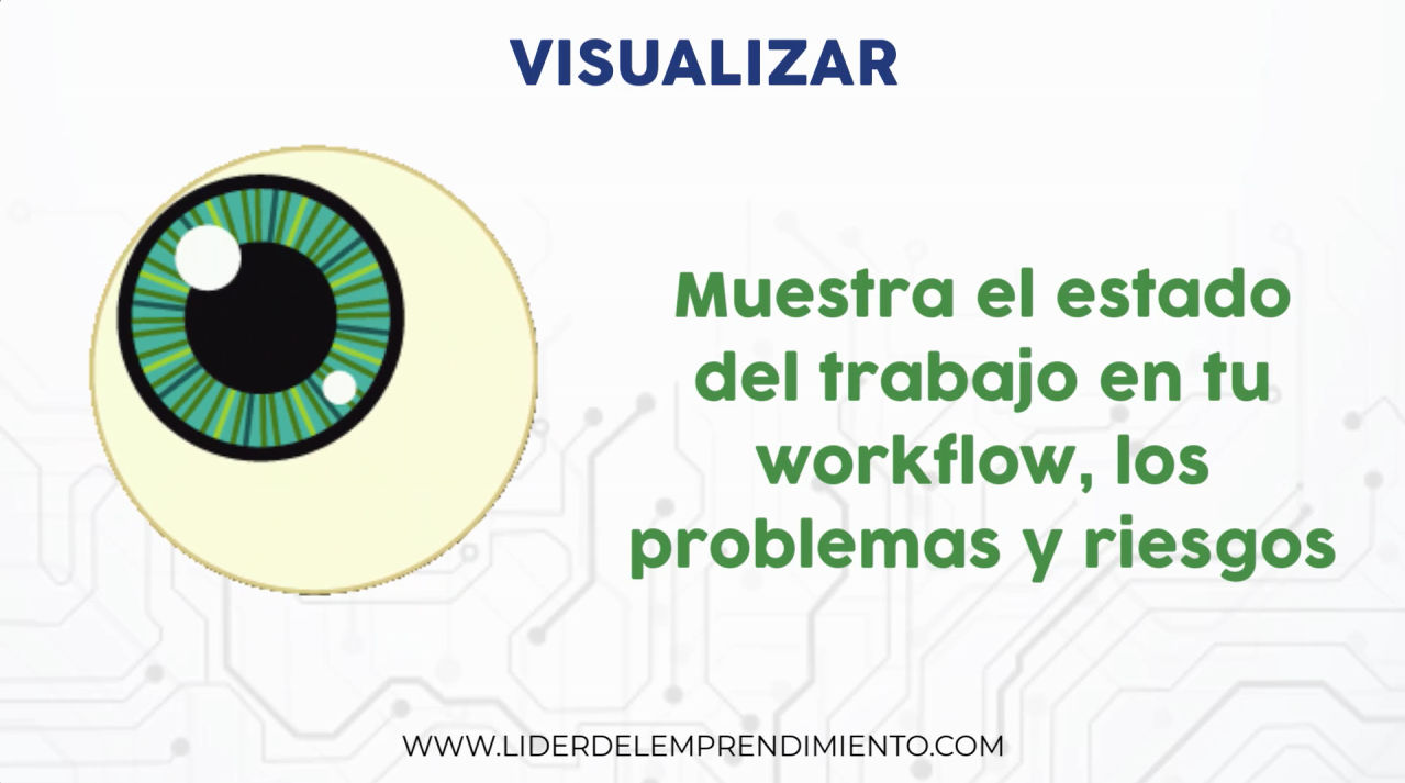 Visualizar