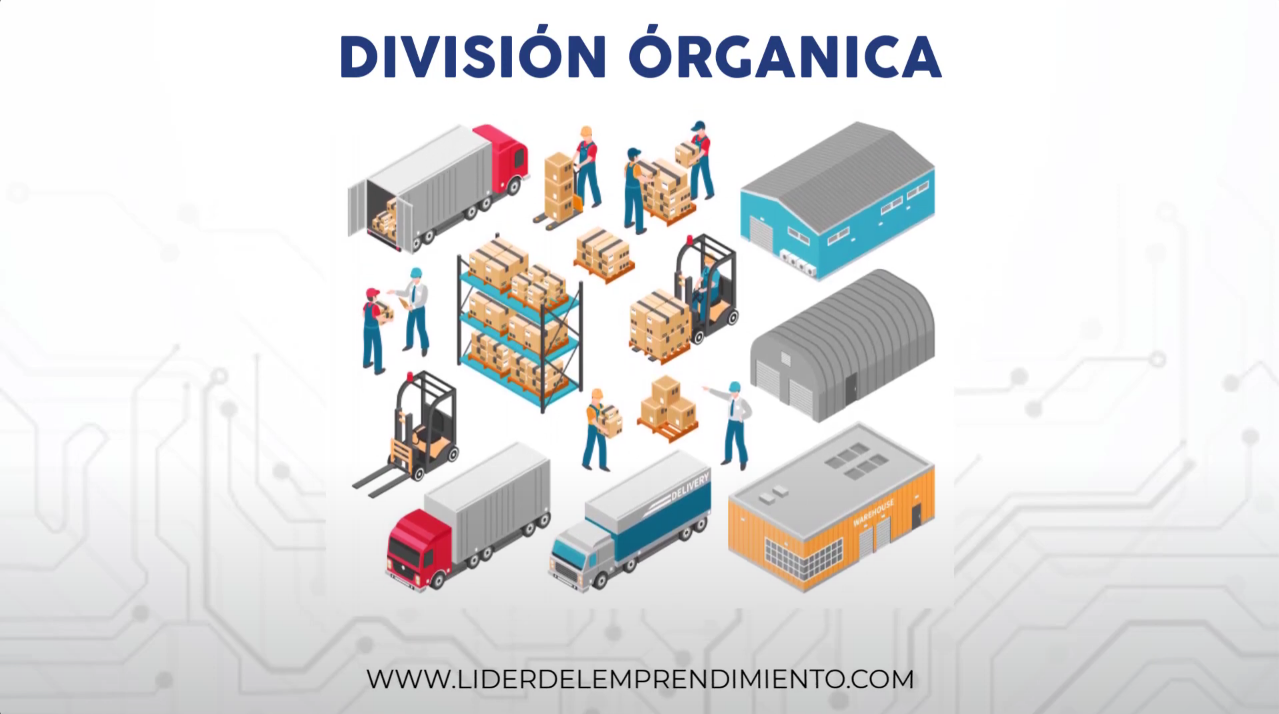 División orgánica en la departamentalización