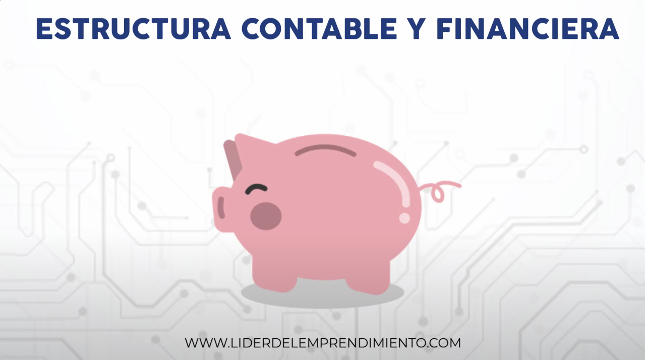 Estructura contable y financiera