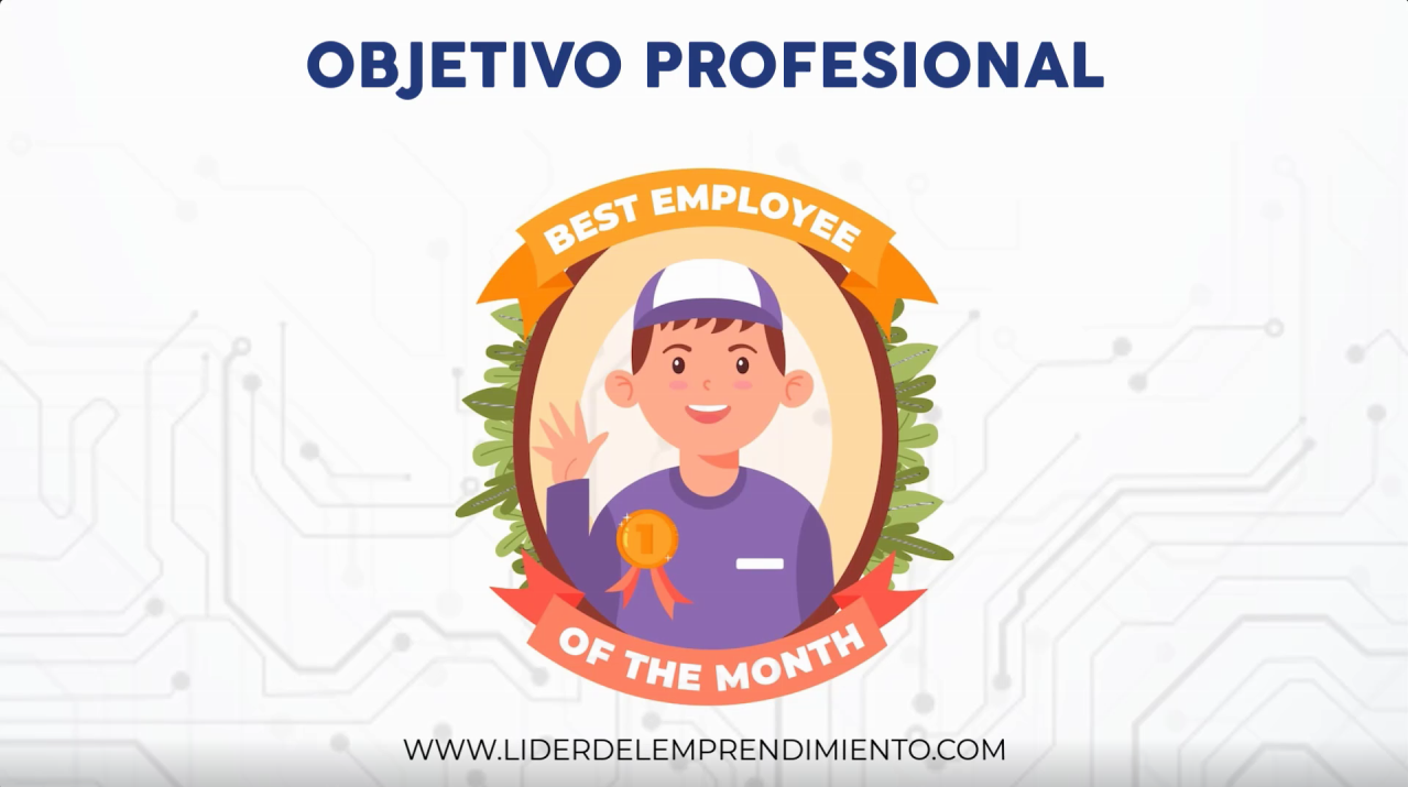 Objetivo profesional